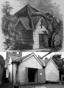 power mag - 2 views_edited-1