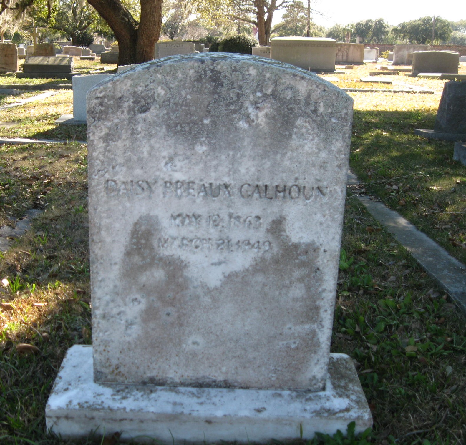 magnolia, daisy breaux