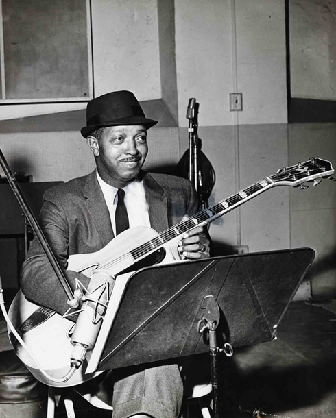 greenfreddie-003-ijs