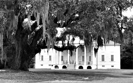 On the road to Charleston County